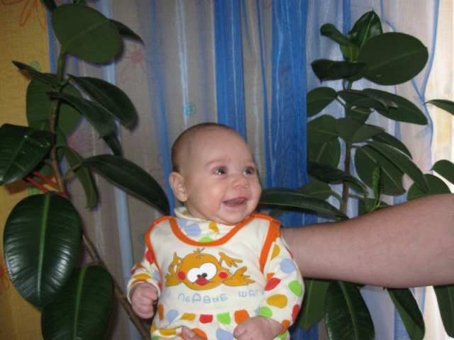 33. Миланушка